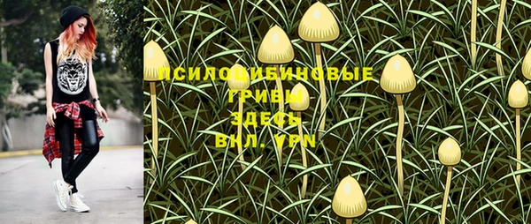 Альфа ПВП Абдулино