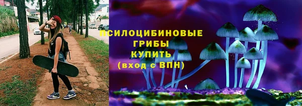 дмт Медногорск