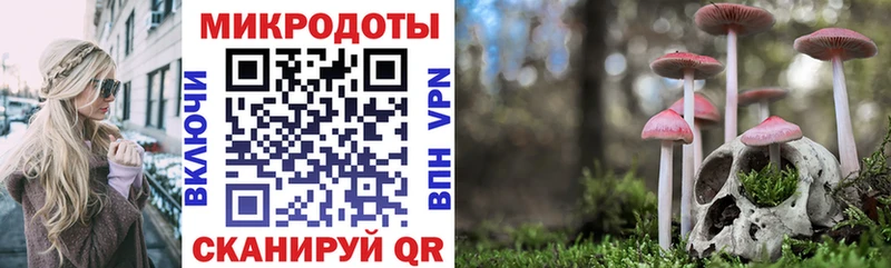 МЕГА как войти Терек Галлюциногенные грибы мухоморы сколько стоит